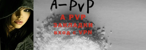 спайс Бородино