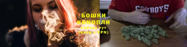 хмурый Бронницы