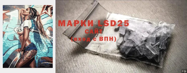 спайс Бородино