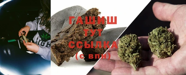 хмурый Бронницы