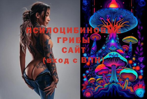хмурый Бронницы