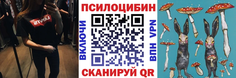 Галлюциногенные грибы Magic Shrooms  дарнет шоп  Городище 